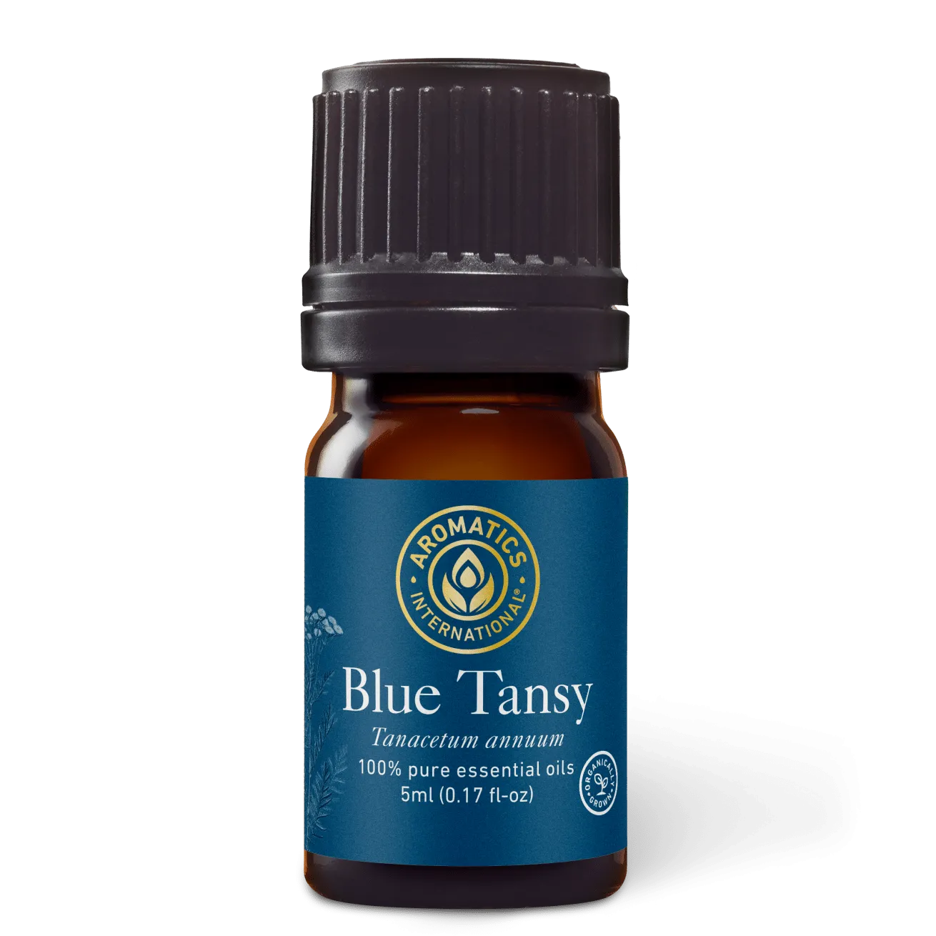 Blue Tansy Essential Oil