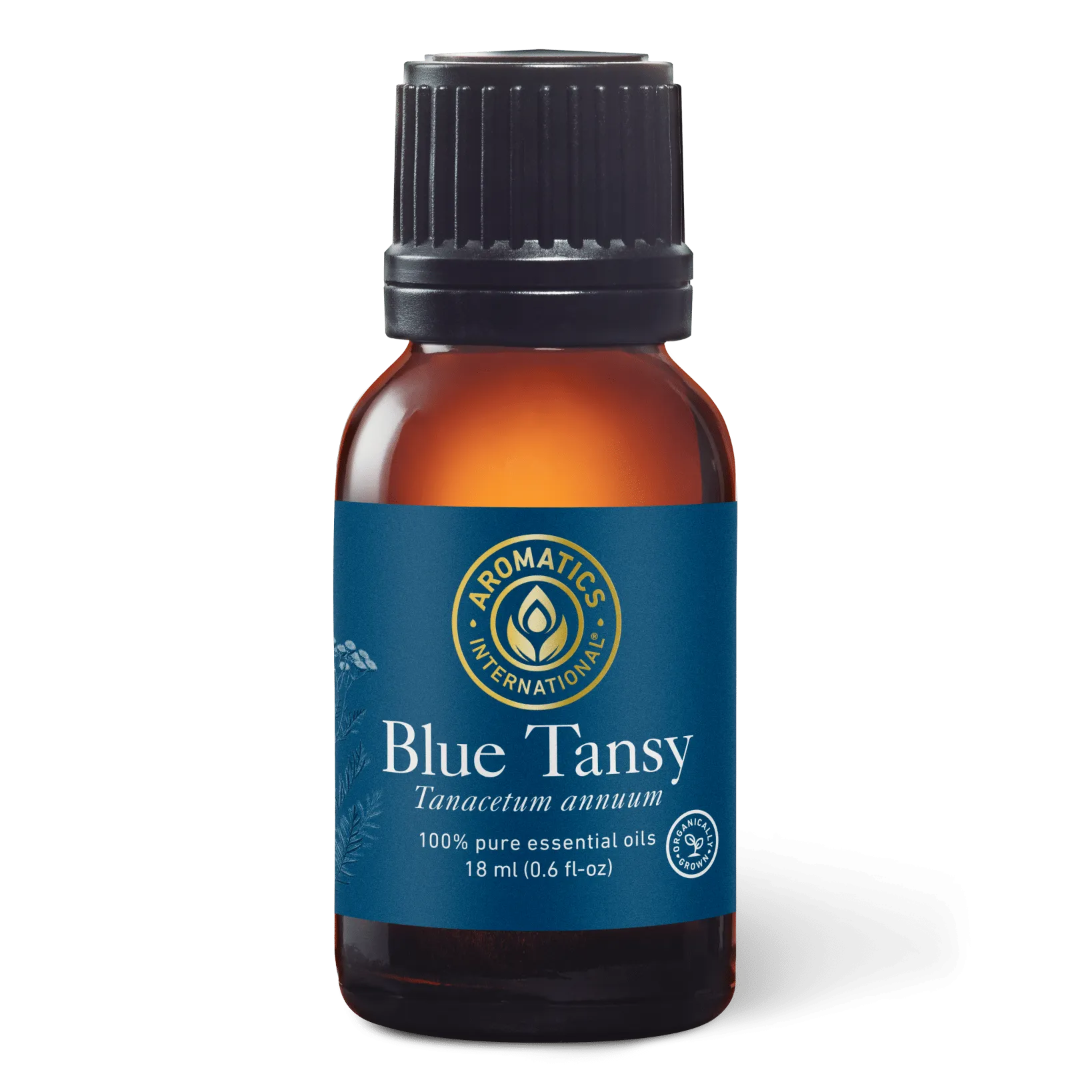 Blue Tansy Essential Oil