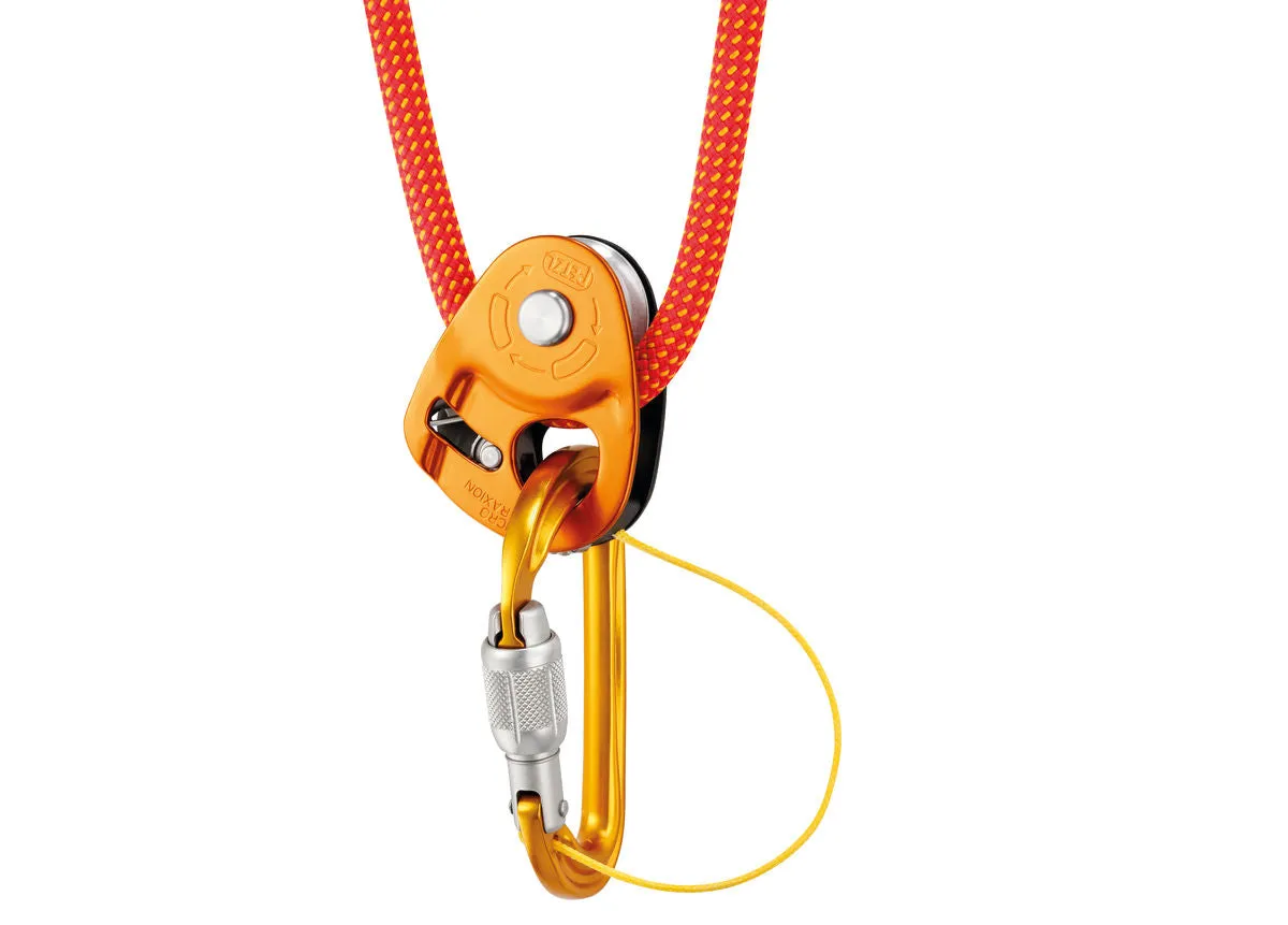 SM'D Carabiner