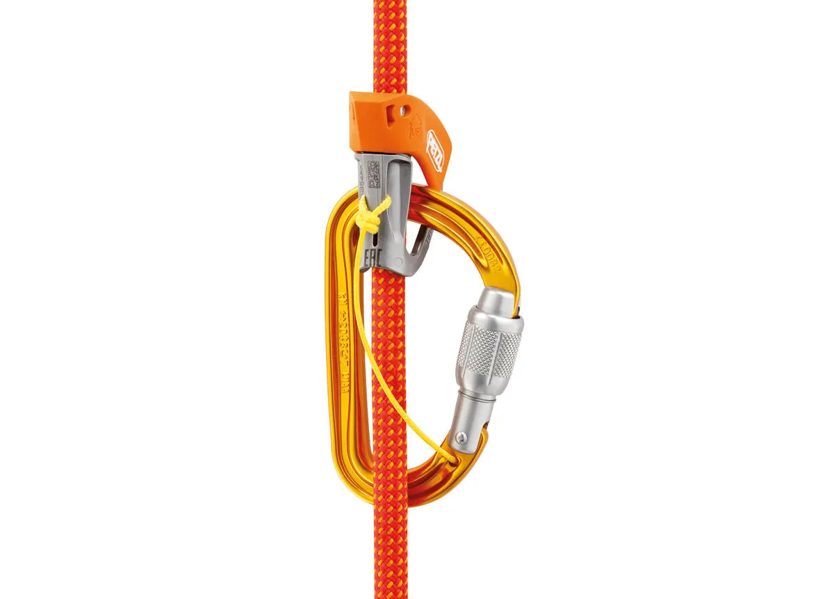 SM'D Carabiner